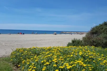 La Llosa Ponent, Joli bungalow avec terrasse couverte, à 1 km de la plage - Photo 32