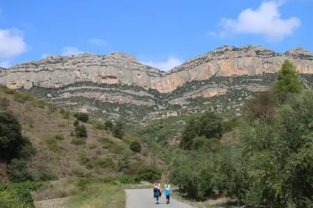 La Llosa Ponent, Joli bungalow avec terrasse couverte, à 1 km de la plage - Photo 33