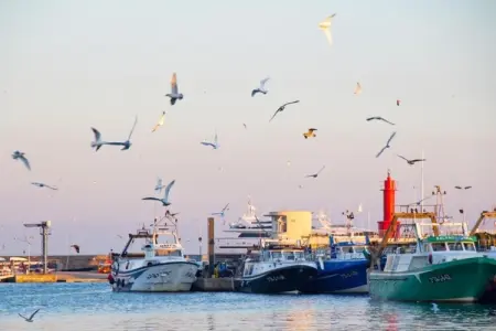 La Llosa 3 LLEBEIG, Joli bungalow en bois avec terrasse, à 1 km de la plage - Photo 32