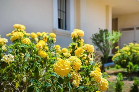 Apartamento en Denia, Villa majestueuse à Denia avec terrasse privée - Photo 26