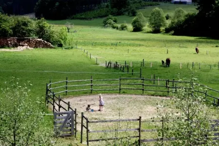 Les Écuries, Ferme authentique avec sauna, au centre des Ardennes - Photo 33