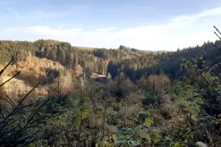 Les Écuries, Ferme authentique avec sauna, au centre des Ardennes - Photo 35