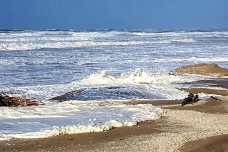 Berck sur Mer 7, Maison de vacances spacieuse avec jardin, à 800 m de la mer - Photo 34