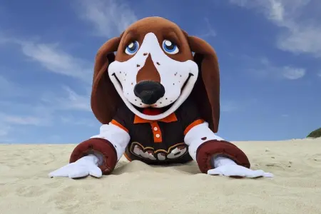 Berck sur Mer 9, Maison de vacances spacieuse avec jardin, à 800 m de la mer - Photo 15