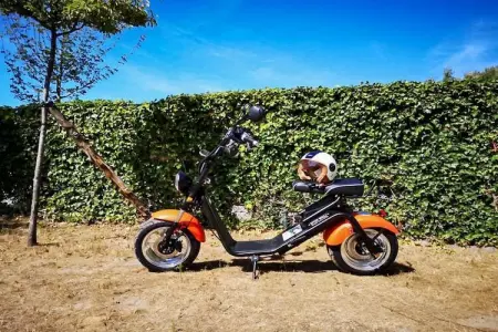 Berck sur Mer 9, Maison de vacances spacieuse avec jardin, à 800 m de la mer - Photo 18