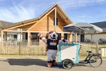 Berck sur Mer 9, Maison de vacances spacieuse avec jardin, à 800 m de la mer - Photo 19