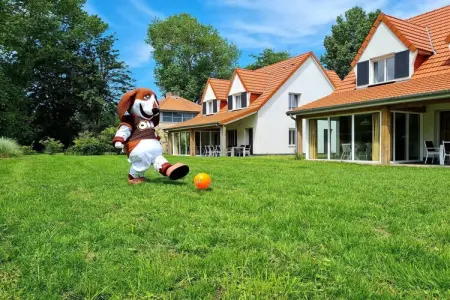 Berck sur Mer 9, Maison de vacances spacieuse avec jardin, à 800 m de la mer - Photo 28