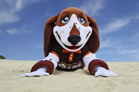 Berck sur Mer 9, Maison de vacances spacieuse avec jardin, à 800 m de la mer - Photo 32