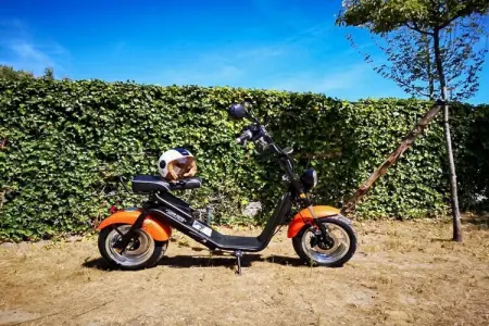 Berck sur Mer 9, Maison de vacances spacieuse avec jardin, à 800 m de la mer - Photo 35