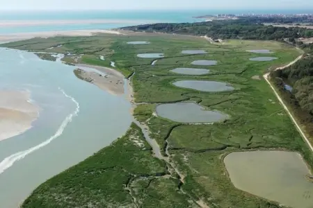 Berck sur Mer 11, Maison de vacances spacieuse avec jardin, à 800 m de la mer - Photo 35