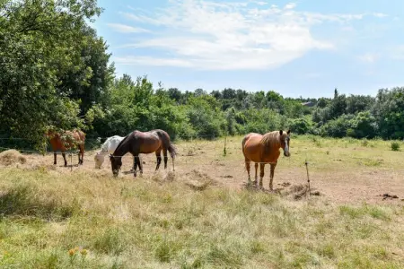 Chêne 1 4pax, Gîte le Chêne Vert dans parc de vacances avec piscine et activités - Photo 25