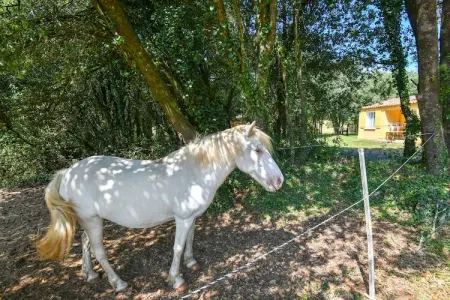 Chêne2 T3 - 6pax, Gîte le Chêne Vert dans parc de vacances avec piscine et activités - Photo 34