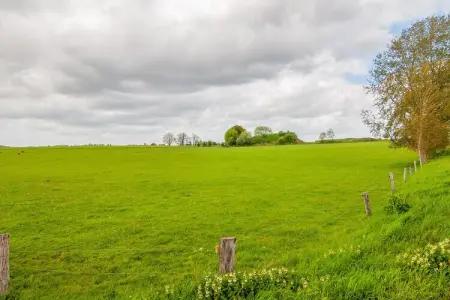 Maulau’x, Superbe habitation pour 5 personnes - Photo 28