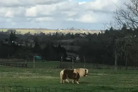 Maison Failte, Maison individuelle avec une vue imprenable et une piscine privée chauffée. - Photo 29