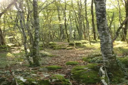 Maison Failte, Maison individuelle avec une vue imprenable et une piscine privée chauffée. - Photo 33
