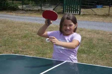 Verblijfpark Ardinam 3, Joli chalet avec micro-ondes, situé dans les Ardennes - Photo 16