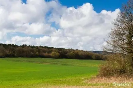 Verblijfpark Ardinam 2, Joli chalet avec micro-ondes, situé dans les Ardennes - Photo 31