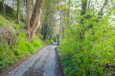 Havre de Paix, Somptueuse Villa avec piscine, jacuzzi et magnifique jardin à Wavre - Photo 35