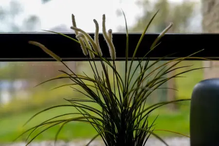 Havre de Paix, Somptueuse Villa avec piscine, jacuzzi et magnifique jardin à Wavre - Photo 39