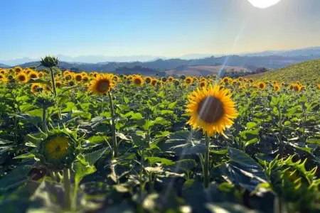 Raggio di Sole, Belle villa à Cagli avec jardin privé et barbecue - Photo 35