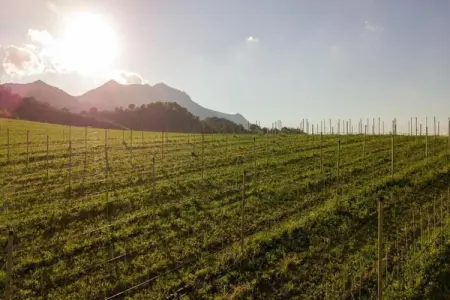 Raggio di Sole, Belle villa à Cagli avec jardin privé et barbecue - Photo 36