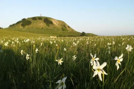 Raggio Un Posto al Sole, Maison de vacances pittoresque à Cagli avec terrasse couverte et barbecue - Photo 33