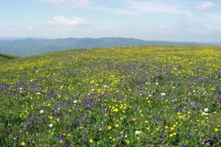 Raggio Un Posto al Sole, Maison de vacances pittoresque à Cagli avec terrasse couverte et barbecue - Photo 35