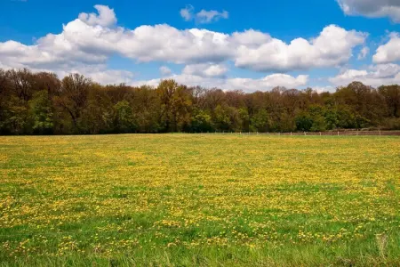 Chalet des Sapins, Magnifique chalet tout confort avec sauna et bain nordique à Hotton - Photo 31