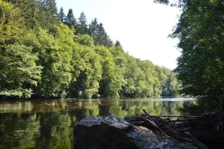 Famenne, Chalet cosy à Durbuy dans une belle région de randonnée - Photo 30