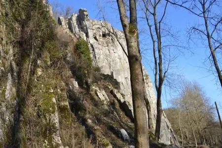 Famenne, Chalet cosy à Durbuy dans une belle région de randonnée - Photo 31