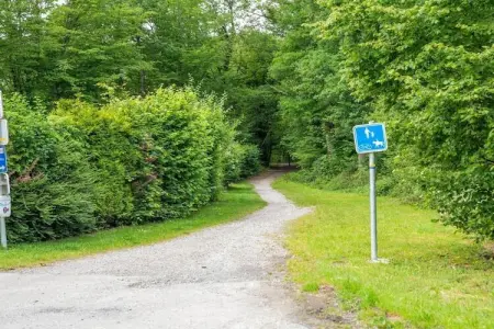 Famenne, Chalet cosy à Durbuy dans une belle région de randonnée - Photo 37