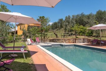 Location Villa in Lucignano,Casale Degli Ulivi IT-52100-72 N°816745