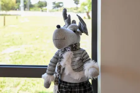 Le petit Chalet, Le petit chalet avec jardin au Bassin d'Arcachon - Photo 33