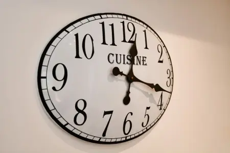 Le petit Chalet, Le petit chalet avec jardin au Bassin d'Arcachon - Photo 34