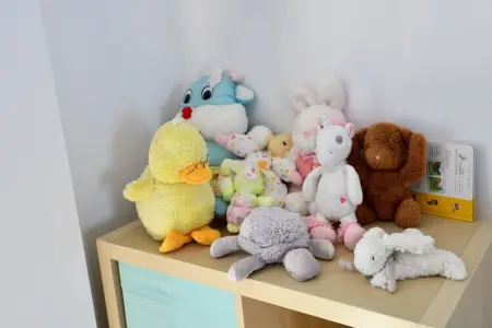 Le petit Chalet, Le petit chalet avec jardin au Bassin d'Arcachon - Photo 36