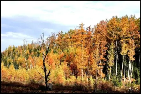 Chalet Chocolat, Le très cosy Chalet Chocolat est situé au bord de l'eau - Photo 29