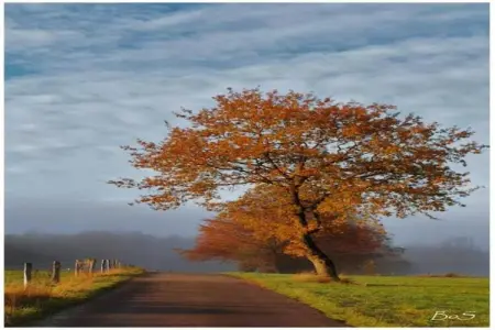 Chalet Chocolat, Le très cosy Chalet Chocolat est situé au bord de l'eau - Photo 31