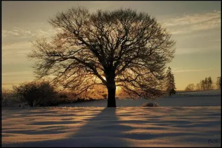 Chalet Chocolat, Le très cosy Chalet Chocolat est situé au bord de l'eau - Photo 32