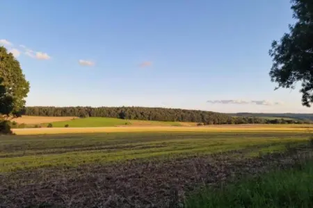 Chalet Chocolat, Le très cosy Chalet Chocolat est situé au bord de l'eau - Photo 38