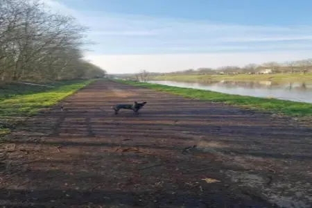 Chalet Chocolat, Le très cosy Chalet Chocolat est situé au bord de l'eau - Photo 39