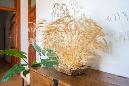 La Casa de Andújar, Manoir confortable à Pozo-Lorente avec patio privé, piano et 2 cheminées - Photo 38