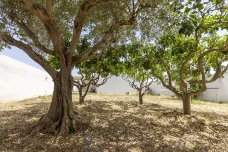 La casa di Isotta, Élégante maison de vacances à Locogrande avec jardin - Photo 33
