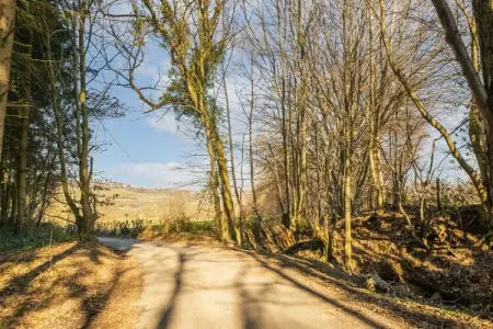 Charmante habitation située à la Reid avec Jacuzzi, Charmante habitation située à la Reid (avec Jacuzzi) - Photo 33