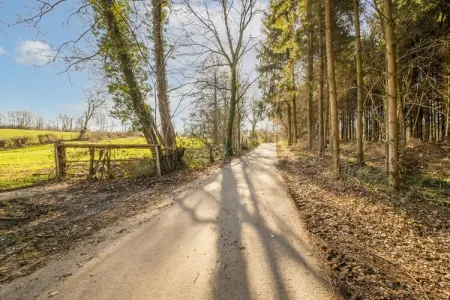 Charmante habitation située à la Reid avec Jacuzzi, Charmante habitation située à la Reid (avec Jacuzzi) - Photo 35
