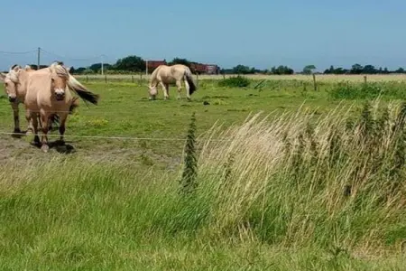 Sunrise, Appartement 2 personnes à Bredene - Photo 30