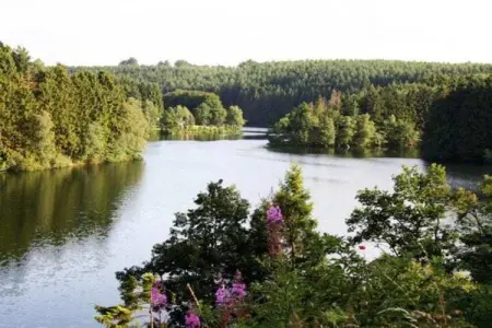 La Terrasse du Lac, Luxueux appartement de vacances avec sauna, cheminée et vue sur un lac - Photo 28