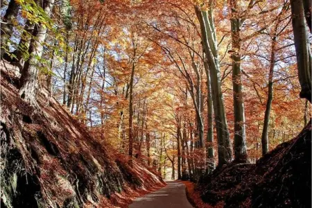 La Terrasse du Lac, Luxueux appartement de vacances avec sauna, cheminée et vue sur un lac - Photo 34