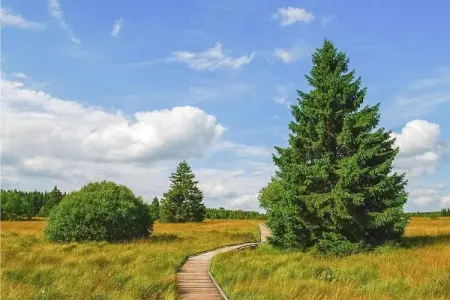 La Terrasse du Lac, Luxueux appartement de vacances avec sauna, cheminée et vue sur un lac - Photo 38