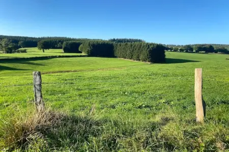 Schell, Appartement, bien equipé à Bütgenbach. - Photo 23