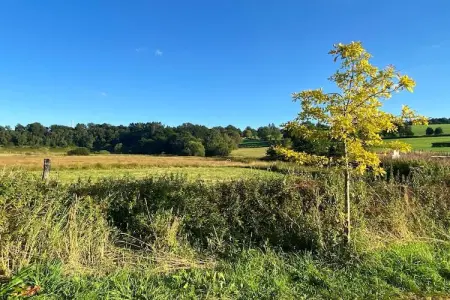 Schell, Appartement, bien equipé à Bütgenbach. - Photo 24